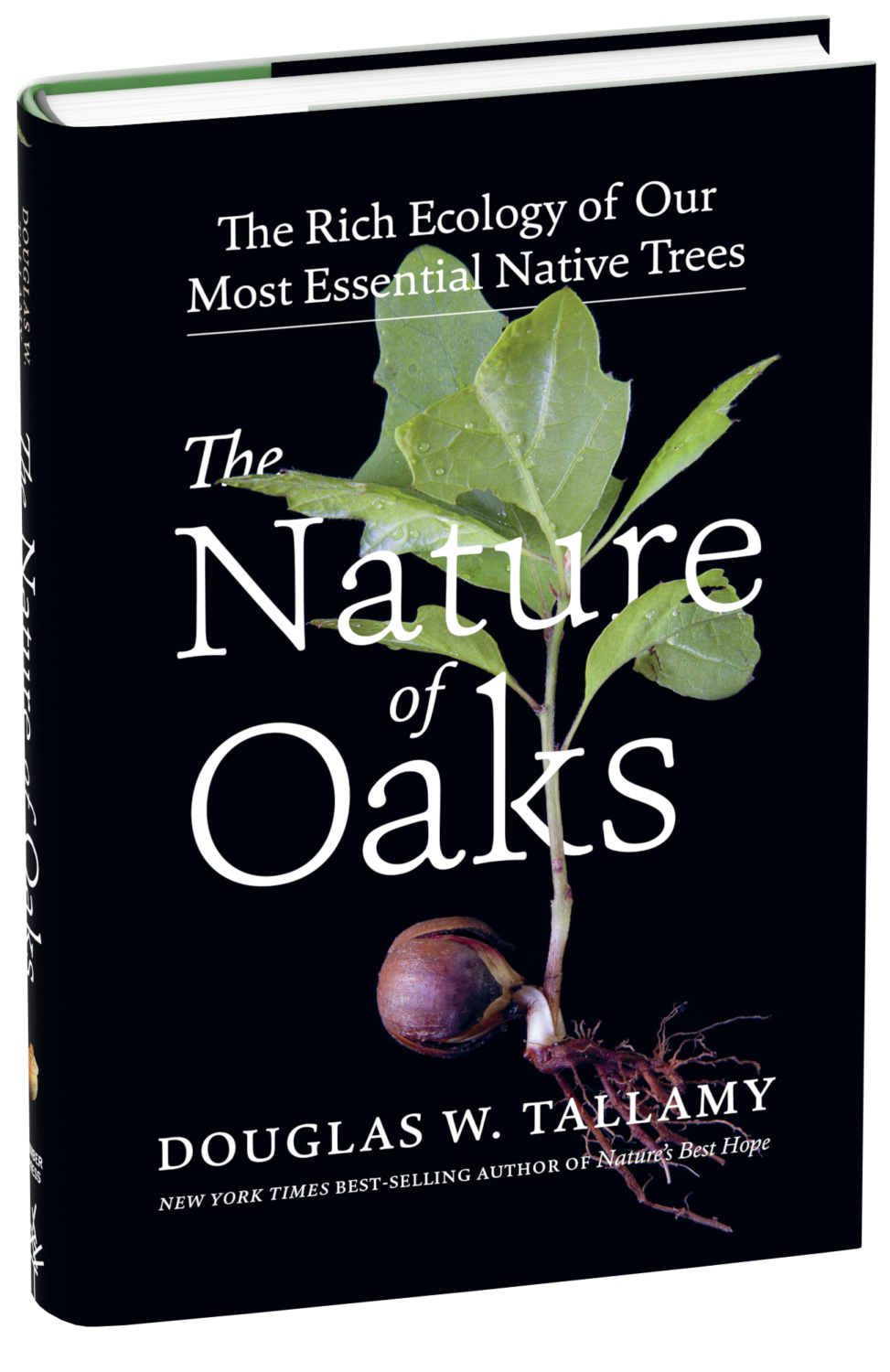 THE NATURE OF OAKS cover art