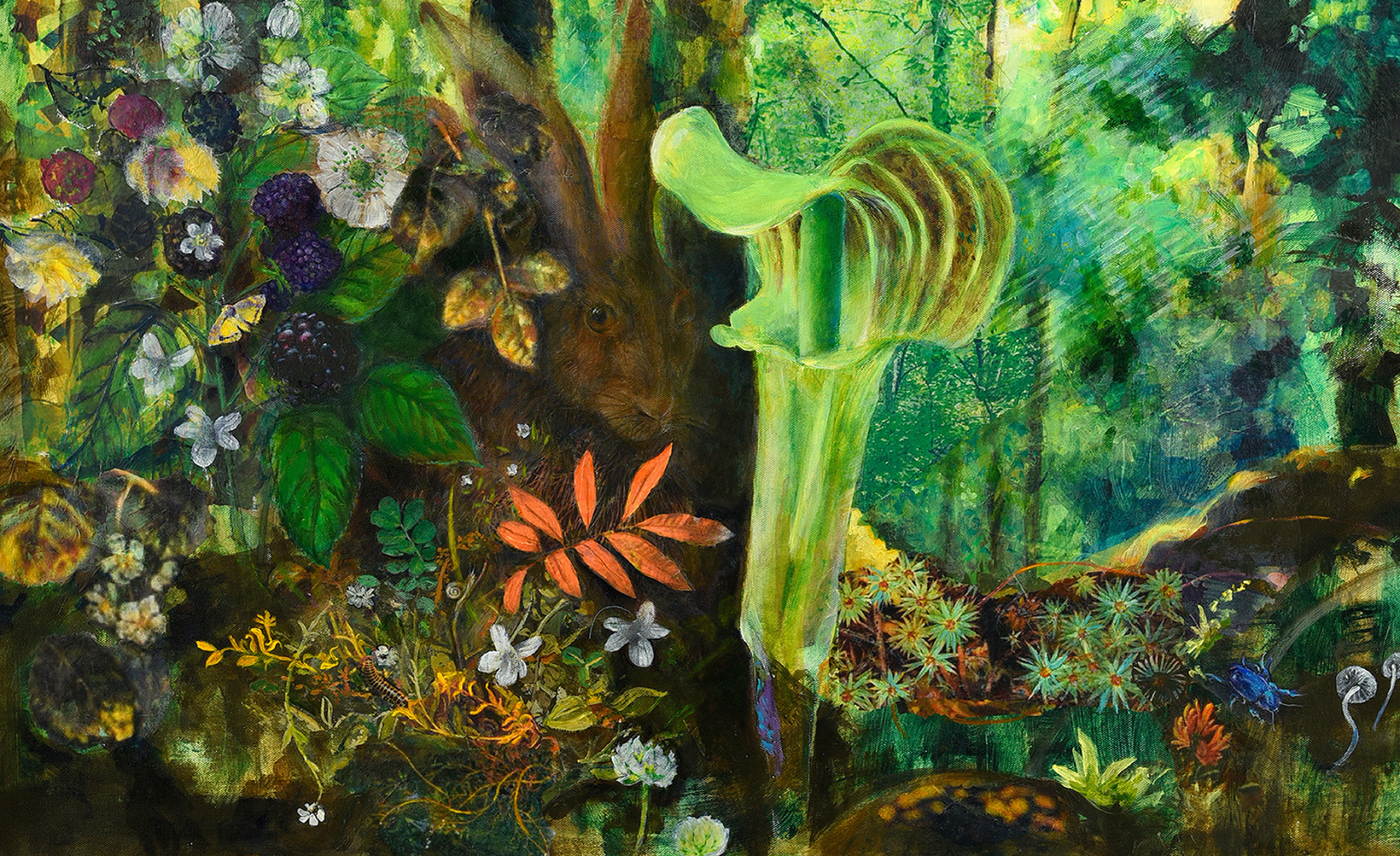 Understory